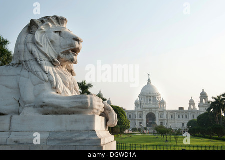 Britischer Kolonialarchitektur, Victoria Memorial, Skulptur von einem Löwen, weißen Marmor, Kolkata, Kalkutta, Westbengalen, Indien Stockfoto