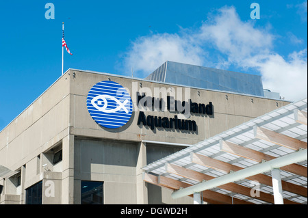 New England Aquarium, Boston, Massachusetts, New England, USA, Nordamerika Stockfoto