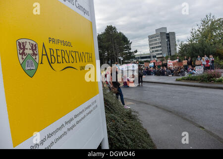 Aberystwyth, Wales, UK. 26. Oktober 2013.   Mehr als hundert Walisisch sprechende Studenten inszeniert einen Sit-Down Protest am Haupteingang an der Aberystwyth University, co-Incicde mit einem der wichtigsten open Days Institutionen.   Die Studenten protestieren gegen der Universität Pläne tho enge Pantycelyn Hall des Wohnsitzes, der einzige walisische Sprache Studentenwohnheim auf dem Campus gewidmet.   Bildnachweis: Keith Morris/Alamy Live-Nachrichten Stockfoto