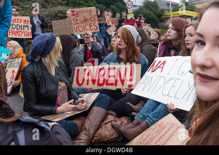 Aberystwyth, Wales, UK. 26. Oktober 2013.   Mehr als hundert Walisisch sprechende Studenten inszeniert einen Sit-Down Protest am Haupteingang an der Aberystwyth University, co-Incicde mit einem der wichtigsten open Days Institutionen.   Die Studenten protestieren gegen der Universität Pläne tho enge Pantycelyn Hall des Wohnsitzes, der einzige walisische Sprache Studentenwohnheim auf dem Campus gewidmet.   Bildnachweis: Keith Morris/Alamy Live-Nachrichten Stockfoto