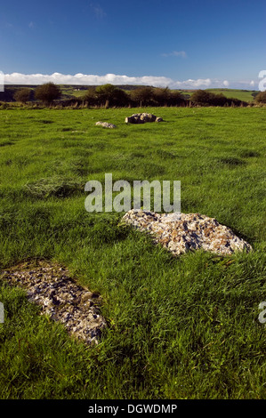 Kingston Russell späten Jungsteinzeit und frühen Bronzezeit Steinkreis in der Nähe von Portesham, Dorset, Großbritannien Stockfoto