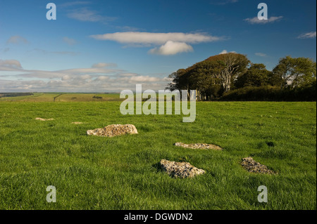 Kingston Russell späten Jungsteinzeit und frühen Bronzezeit Steinkreis in der Nähe von Portesham, Dorset, Großbritannien Stockfoto