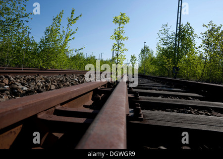 Stillgelegte Eisenbahnstrecken Stockfoto