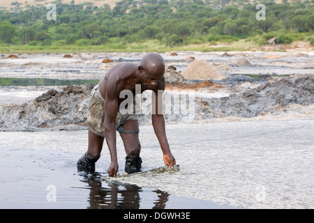 Salz Arbeiter auf See Kasenyi, Queen Elizabeth National Park, Kasenyi, Uganda, Afrika Stockfoto