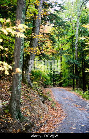 SKANEATELES, New York, USA – die leuchtenden Herbstfarben des Upstate New York in der Nähe von Skaneateles schaffen einen atemberaubenden Teppich aus roten, orangen und gelben Blättern. Diese malerische Landschaft vor der ruhigen Kulisse des Skaneateles Lake verkörpert die Schönheit des Herbstes in der Region Finger Lakes. Die Gegend ist bekannt für ihre malerischen Fahrten, Outdoor-Aktivitäten und atemberaubende Ausblicke. Stockfoto