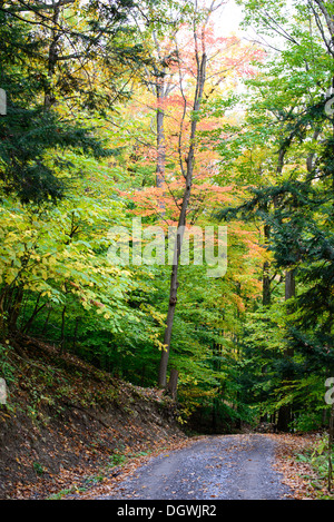 SKANEATELES, New York, USA – die leuchtenden Herbstfarben des Upstate New York in der Nähe von Skaneateles schaffen einen atemberaubenden Teppich aus roten, orangen und gelben Blättern. Diese malerische Landschaft vor der ruhigen Kulisse des Skaneateles Lake verkörpert die Schönheit des Herbstes in der Region Finger Lakes. Die Gegend ist bekannt für ihre malerischen Fahrten, Outdoor-Aktivitäten und atemberaubende Ausblicke. Stockfoto