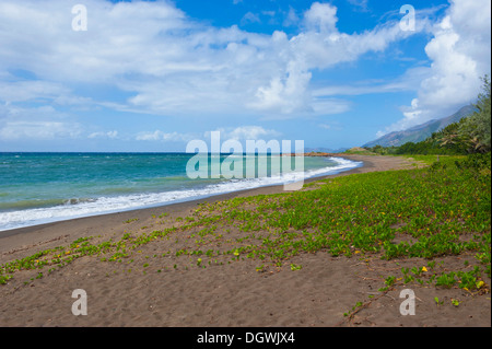 Strand, Küste, Grande Terre, Neu-Kaledonien, Frankreich Stockfoto