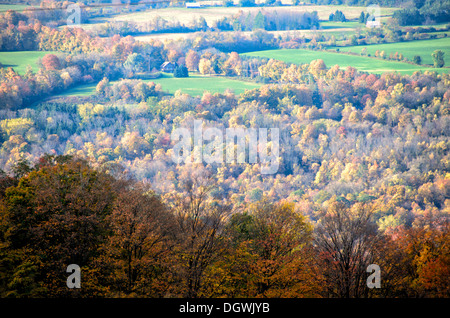 SKANEATELES, New York, USA – die leuchtenden Herbstfarben des Upstate New York in der Nähe von Skaneateles schaffen einen atemberaubenden Teppich aus roten, orangen und gelben Blättern. Diese malerische Landschaft vor der ruhigen Kulisse des Skaneateles Lake verkörpert die Schönheit des Herbstes in der Region Finger Lakes. Die Gegend ist bekannt für ihre malerischen Fahrten, Outdoor-Aktivitäten und atemberaubende Ausblicke. Stockfoto