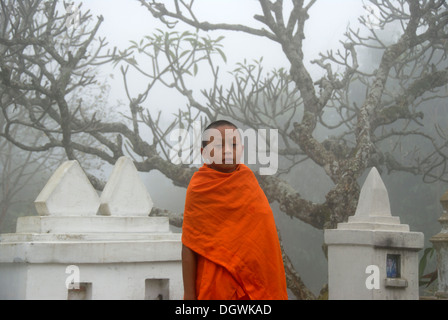 Buddhismus und Vorfahren anbeten, junge Novizin mit orangefarbenen Robe, unheimliches Zweige im Nebel über Gräbern, Wat Kaew, Provinz Phongsali Stockfoto