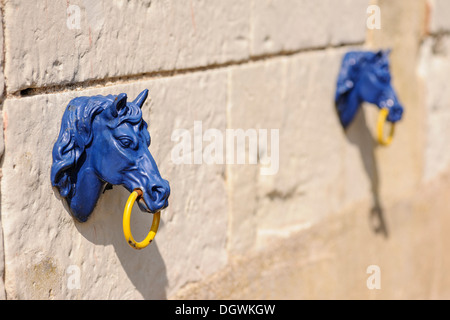 Pferdekopf als bebenden Ring, Chateau de Montpoupon, Wachshaut la Ronde, Indre-et-Loire, Frankreich Stockfoto