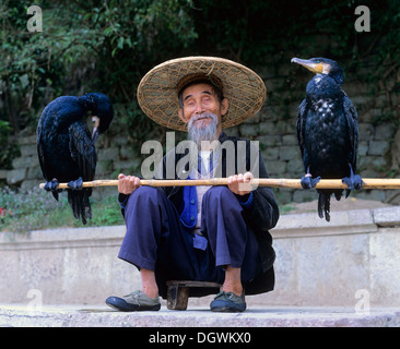 Kormoran Fischer mit Kormorane (Phalacrocorax Carbo) auf dem Fluss Li Jiang, Yangshuo, Guilin, Guangxi, China, Asien Stockfoto