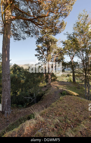 Website der piktische Burgberg am Craigmony in Inverness-Shire, Schottland Stockfoto