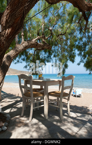 Tisch im Schatten, Holzstühle unter einer Tamariske oder Salz Zeder (Tamarix), Strand von Kato Zakros, Kreta, Griechenland, Mediterranean Stockfoto