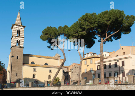 Katholische Christentum, Kirche von San Giovanni in Piazza dei Caduti, Stein Kiefern (Pinus Pinea), Viterbo, Latium, Italien Stockfoto