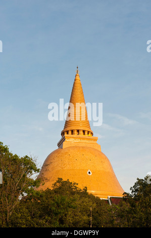 Phra Pathom Chedi, Stupa im Abendlicht, 127m, höchste buddhistische Chedi in der Welt, Nakhon Pathom Provinz Nakhon Pathom Stockfoto