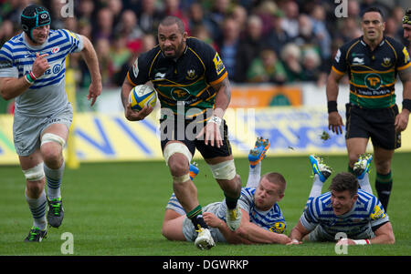 Northampton, UK. 26. Oktober 2013. Samu Manoa auf seinem Weg zum scoring eines feine einzelnen Versuch für Northampton. Aktion von der Aviva Premiership-match zwischen Northampton Saints und Sarazenen in Franklins Gardens, Northampton gespielt. Bildnachweis: Graham Wilson/Alamy Live-Nachrichten Stockfoto