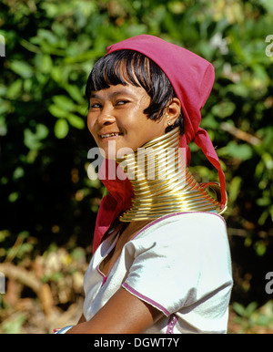 Giraffe Frau, Kayan Lahwi Frau, lange Necked Kayan, Frau aus dem Volk der Padaung, Kayah-Staat, Myanmar, Burma Stockfoto