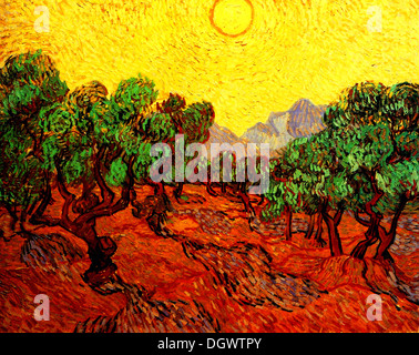 Olivenbäume mit gelbem Himmel und Sonne von Vincent Van Gogh 1889 Stockfoto