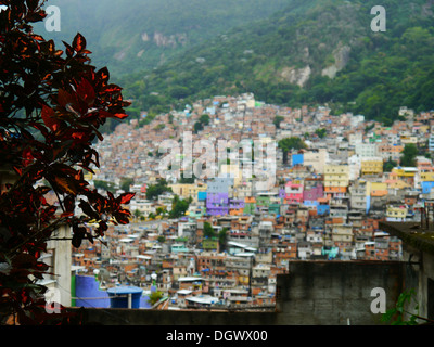 Die bunten brasilianischen Favelas Stockfoto