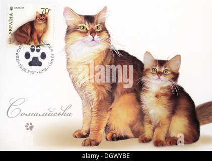 Ukraine Briefmarke mit Hauskatzen - Katze Somali Rasse Stockfoto