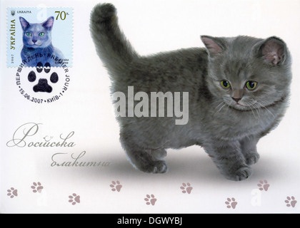 Ukraine-Briefmarke mit Hauskatzen - Russisch Blau Katze Rasse Kätzchen Stockfoto