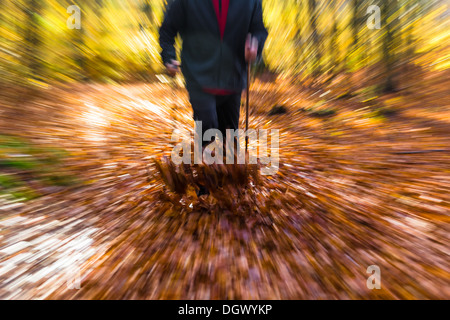 Beine des Mannes pflegen Herbst im Wald Nordic walking Stockfoto