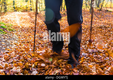 Beine des Mannes pflegen Herbst im Wald Nordic walking Stockfoto