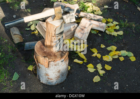 AX Holzhacken auf Hackklotz. Herbst Blätter Stockfoto