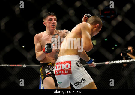 Manchester, UK. 26. Oktober 2013. Norman Parke (NIR) in den schwarzen besiegt Jon Tuck (USA) in den weißen durch einstimmigen Beschluss während der Main Karte leichte Kampf bei UFC Fight Night: Machida vs. Munoz in Phones 4u Arena. © Aktion Plus Sport/Alamy Live-Nachrichten Stockfoto