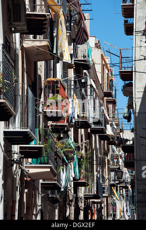 Schmale Gasse, Altstadt, Cefalu, Sizilien, Italien, Europa Stockfoto