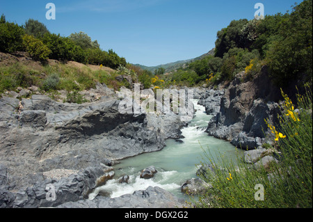 Gole Alcantara, Gole di Larderia, Alcantara-Schlucht, River, Sizilien, Italien, Europa Stockfoto