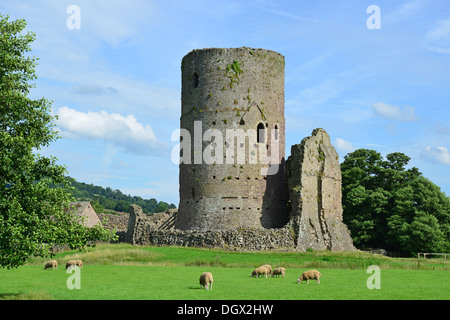 13. Jahrhundert Tretower Burg, Tretower, Brecon Beacons National Park, Powys, Wales, Vereinigtes Königreich Stockfoto