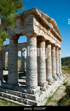 Dorischer Tempel der Elymer, Segesta, Provinz Trapani, Sizilien, Italien, Europa Stockfoto