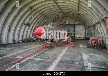 MIG-21 SMT Flugzeuge, eine relativ seltene Version in Deutschland, im Jahr 1993 durch die sowjetischen Luftstreitkräfte während ihren Rückzug zurückgelassen, Stockfoto