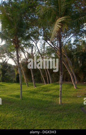 Entspannung vor Ort Rasen Garten Dschungel Bali Indonesien ruhig langsam Sonne Grasbäume Ruhe Stille grün grün anzeigen vista Stockfoto