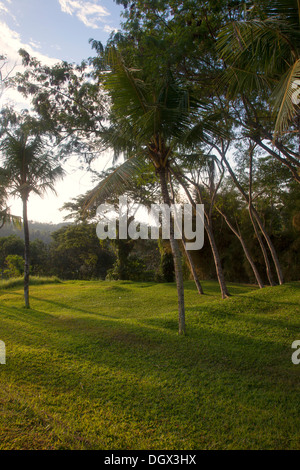 Entspannung vor Ort Rasen Garten Dschungel Bali Indonesien ruhig langsam Sonne Grasbäume Ruhe Stille grün grün anzeigen vista Stockfoto