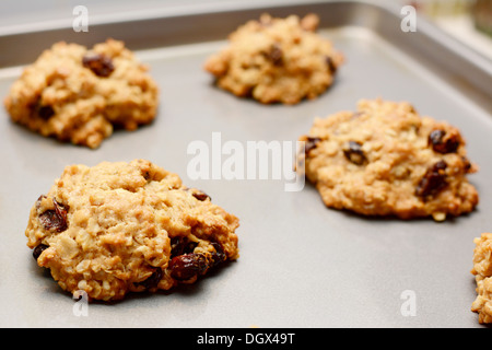 Nahaufnahme der frisch gebackene Müsli mit Rosinen cookies Stockfoto