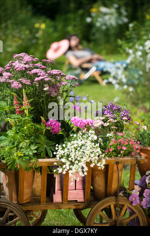 Idyllischer Garten mit alten Holzkarren Stockfoto