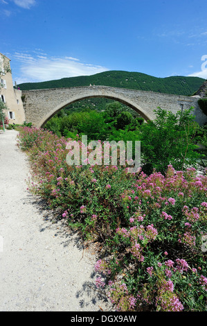 Pont de Nyons, mittelalterliche Brücke über den Fluss Eygues Bogen Spanne 40,5 m, Nyons, Département Drôme, Region Rhône-Alpes, Frankreich Stockfoto
