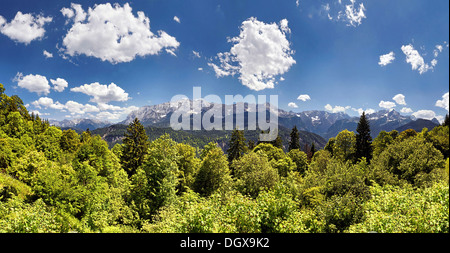 Wettersteingebirge, gesehen vom Eckbauer Berg, Eckbauer, Garmisch-Partenkirchen, Upper Bavaria, Bavaria, Germany Stockfoto