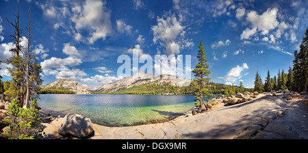 Kristallklare Tenaya Lake, an der Tioga Pass, Yosemite Tal, Yosemite-Nationalpark, Kalifornien, USA Stockfoto