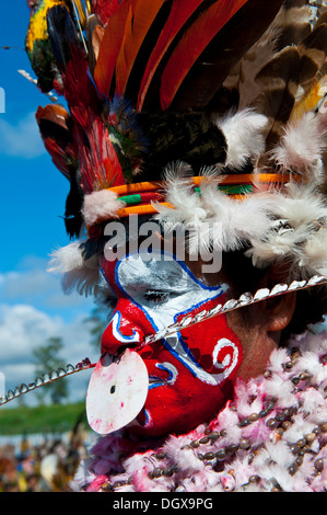 Frau in einem bunt geschmückten Kostüm mit Bemalung in den traditionellen Sing-Sing sammeln, Hochland, Mount Hagen Stockfoto