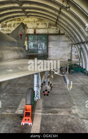 MIG-21 SMT Flugzeuge, eine relativ seltene Version in Deutschland, im Jahr 1993 durch die sowjetischen Luftstreitkräfte während ihren Rückzug zurückgelassen, Stockfoto