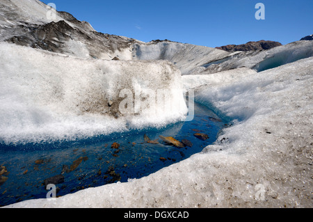 Detail, Viedma Gletscher, El Chalten, Patagonien, Anden, Argentinien, Südamerika Stockfoto