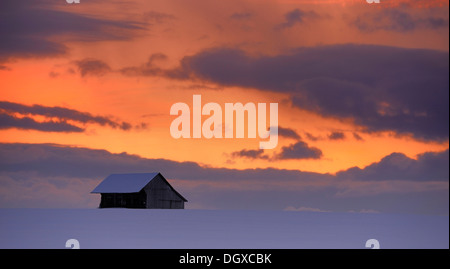 Altes Landhaus in winterlichen Landschaft mit einem dramatischen Himmel, Markt Rettenbach, Landkreis Unterallgaeu, Bayern Stockfoto