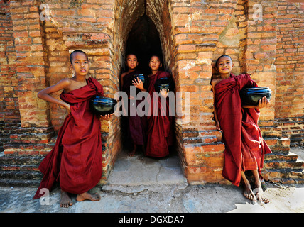 Young-buddhistischen Novizen halten Almosen Schalen vor der alten Klostermauern auf die Shwezigon Pagode in Bagan, Myanmar, Burma Stockfoto