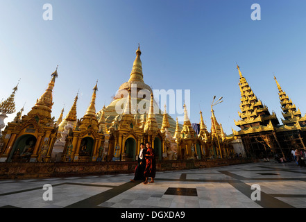 Shwedagon-Pagode in Yangon, Myanmar, Birma, Südostasien, Asien Stockfoto