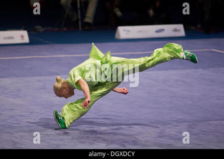St. Petersburg, Russland. 26. Oktober 2013. Zweiten Weltkrieg Combat Spiele. Wushu. Endgültige © Andrew Shlykoff/Alamy Live-Nachrichten Stockfoto