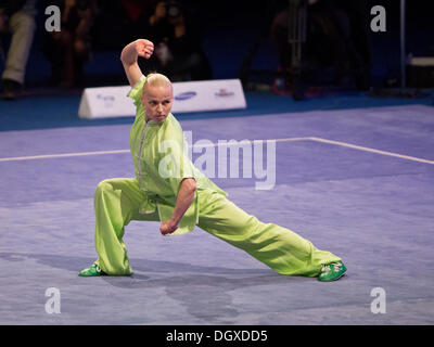 St. Petersburg, Russland. 26. Oktober 2013. Zweiten Weltkrieg Combat Spiele. Wushu. Endgültige © Andrew Shlykoff/Alamy Live-Nachrichten Stockfoto