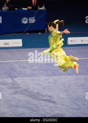 St. Petersburg, Russland. 26. Oktober 2013. Zweiten Weltkrieg Combat Spiele. Wushu. Endgültige © Andrew Shlykoff/Alamy Live-Nachrichten Stockfoto